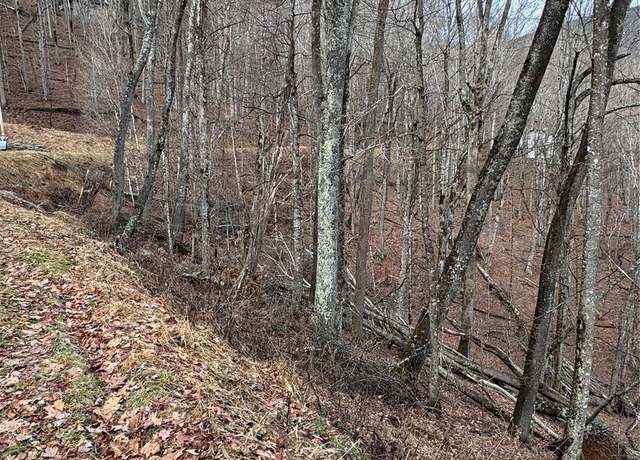 Property at 554 Flame Azalea Ln #112, Mars Hill, NC 28754