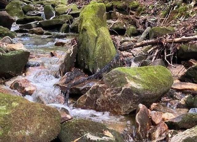 Property at 619 Speckled Feather Pass, Sapphire, NC 28774