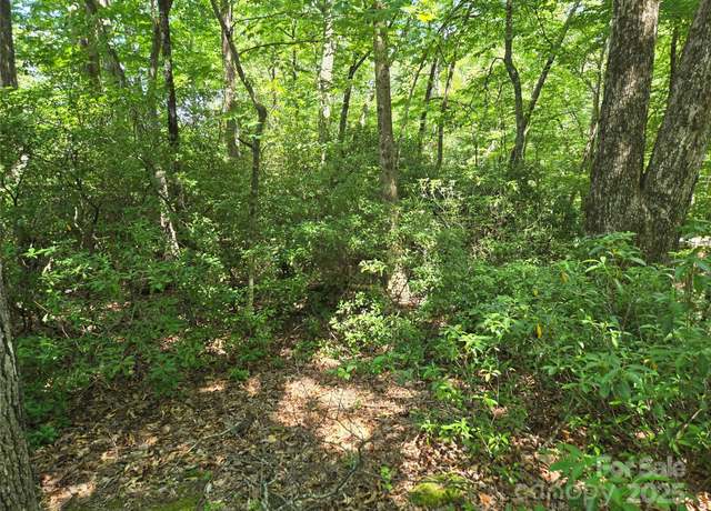 Property at Lot 201 Little Creek Rd, Lake Lure, NC 28746