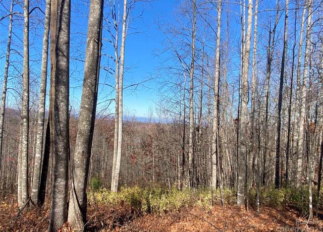 Property at TBD Meditation Ridge Dr #43, Nebo, NC 28761