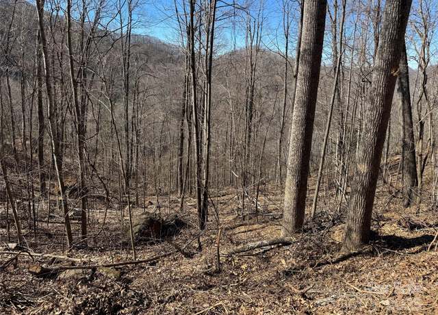 Property at Lot 25 Andrew Banks Rd, Burnsville, NC 28714