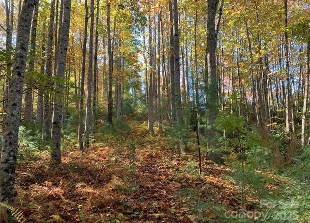 Property at Lot# 556 Timber Rock Dr #556, Lenoir, NC 28645