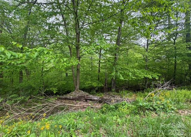 Property at 22 Zebulon Ln, Mars Hill, NC 28754