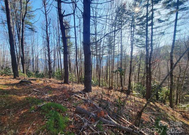 Property at 111 Digging Seng Trl #138, Waynesville, NC 28785