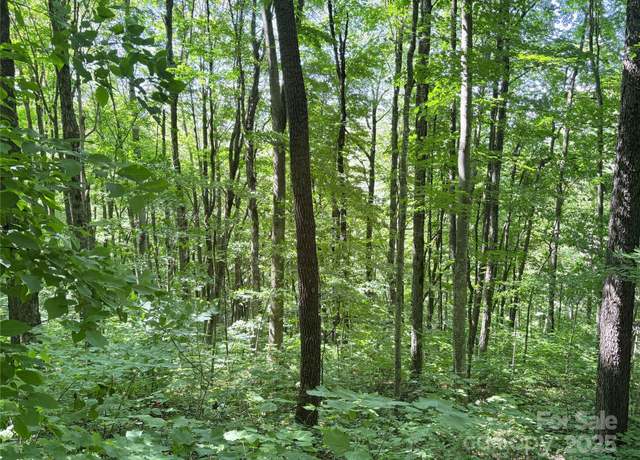 Property at 00 Slippery Rock Rd Unit 306 & 307, Waynesville, NC 28785