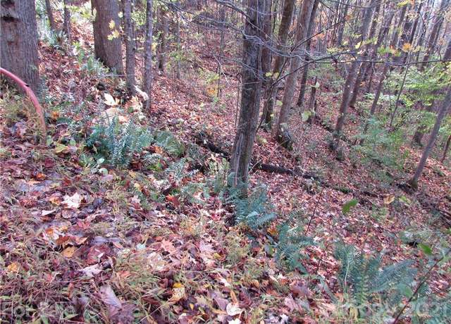 Property at E- 15 Red Wolf Run None, Mars Hill, NC 28754