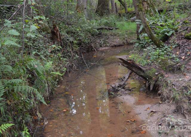 Property at 0 Pate Rd, Rutherfordton, NC 28139