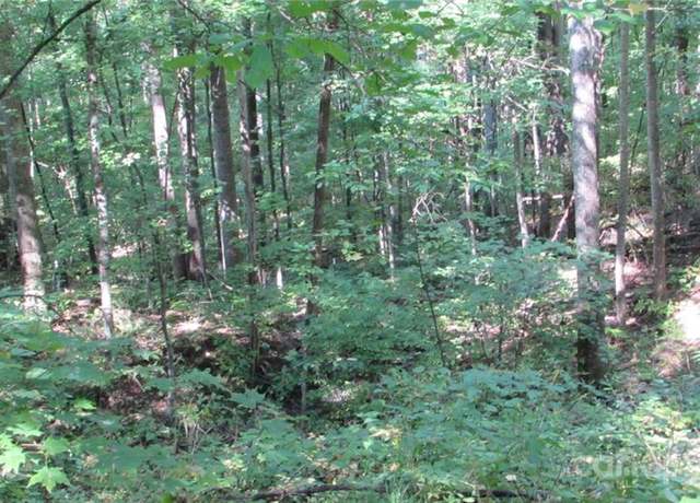 Property at E- 17 Red Wolf Run None, Mars Hill, NC 28754