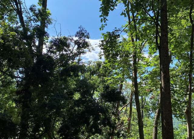 Property at 0 Winesap Blvd #81, Lake Lure, NC 28746