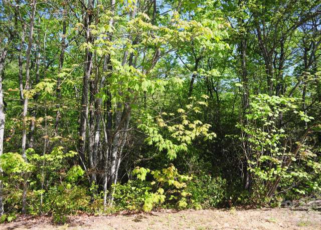 Property at 99999 Mountain Falls Trl #71, Black Mountain, NC 28711