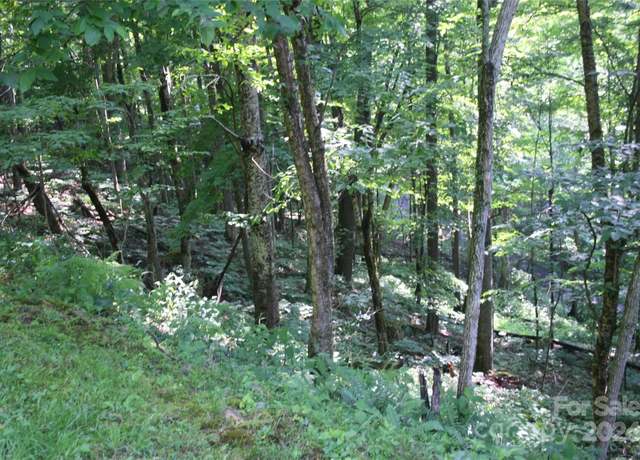 Property at 92 Goldenleaf Dr, Mars Hill, NC 28754