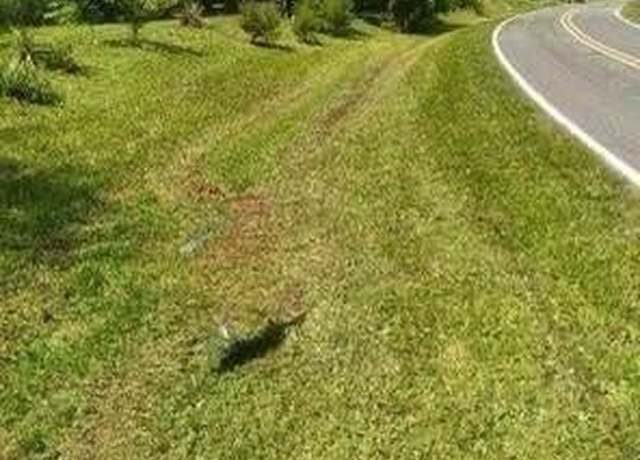 Property at 4560 Mecum Rd, Walkertown, NC 27051