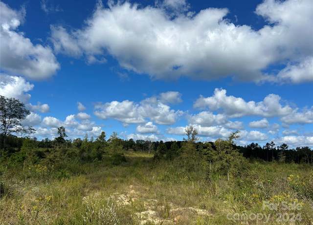 Property at 60 AC Shannon Rd, Blackstock, SC 29014