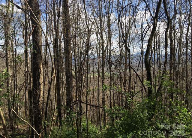 Property at 0 Kitty Ln, Waynesville, NC 28785