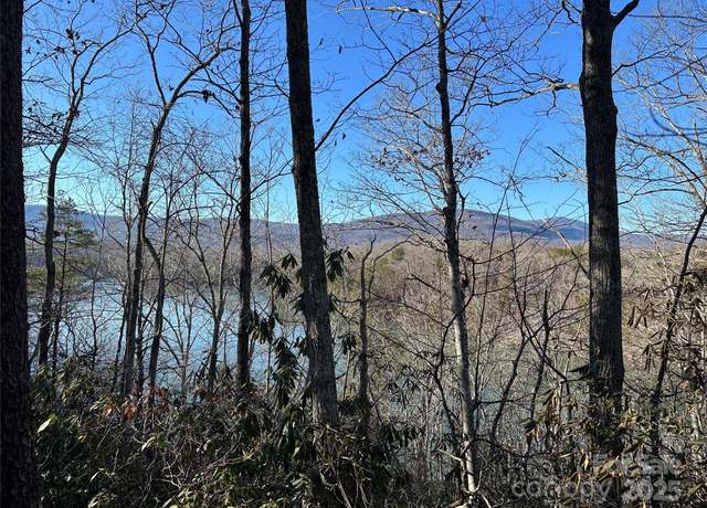 Property at Lot 62 Lake Adger Pkwy, Mill Spring, NC 28756