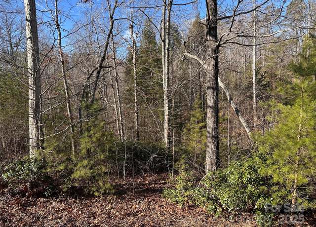 Property at 0 Rock Ledge Dr, Lake Lure, NC 28746