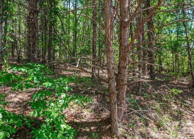 Property at Lot Meadow Crossing Dr, Rutherfordton, NC 28139