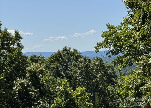 Property at 133 Steeple Chase Trl, Mcgrady, NC 28649