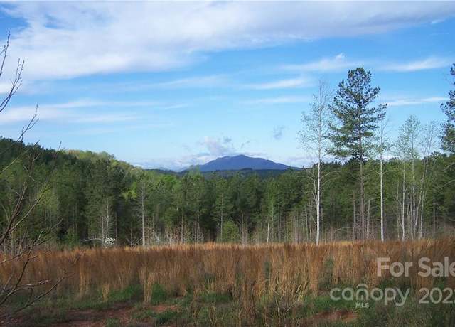 Property at Tract 3 County Line Rd, Mill Spring, NC 28756