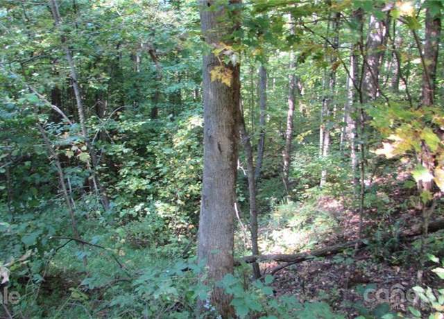 Property at E- 19 Red Wolf Run None, Mars Hill, NC 28754