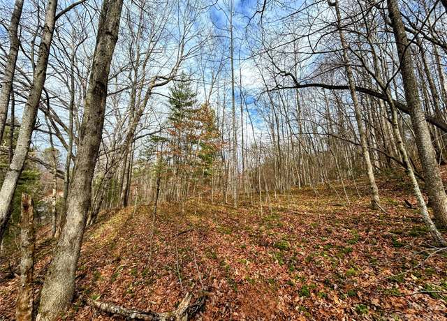Property at Lot 8 Azalea Way, Saluda, NC 28773