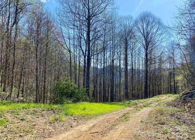 Property at 000 Grapevine Rd, Marshall, NC 28753