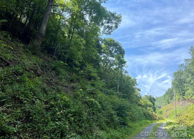 Property at 1775 Paint Rock Rd, Hot Springs, NC 28743