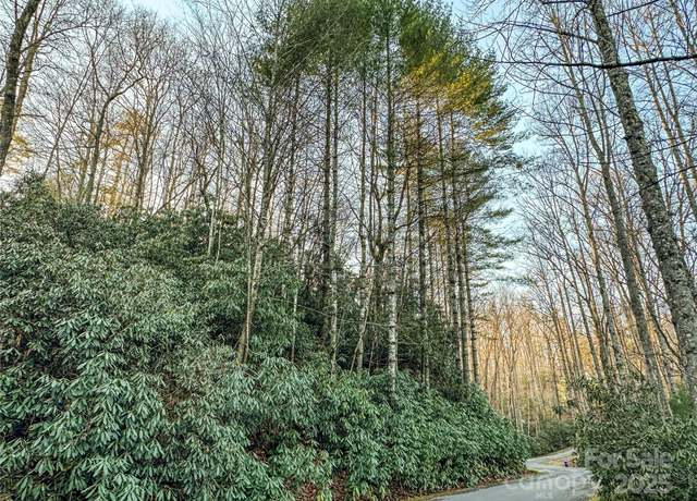 Property at D17 Caroline Ln, Pisgah Forest, NC 28768