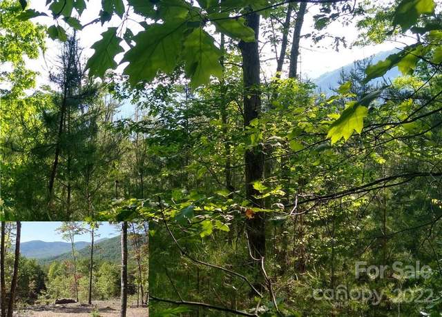 Property at Lot 221 Davids Dr, Lake Lure, NC 28746