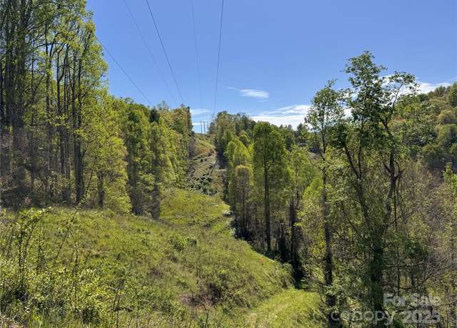 Property at 000 Relief Ext, Green Mountain, NC 28740