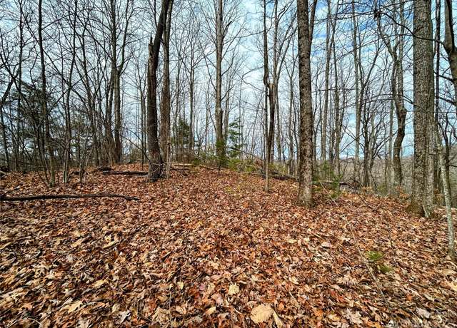 Property at Lot 12 Rhododendron Dr, Saluda, NC 28773
