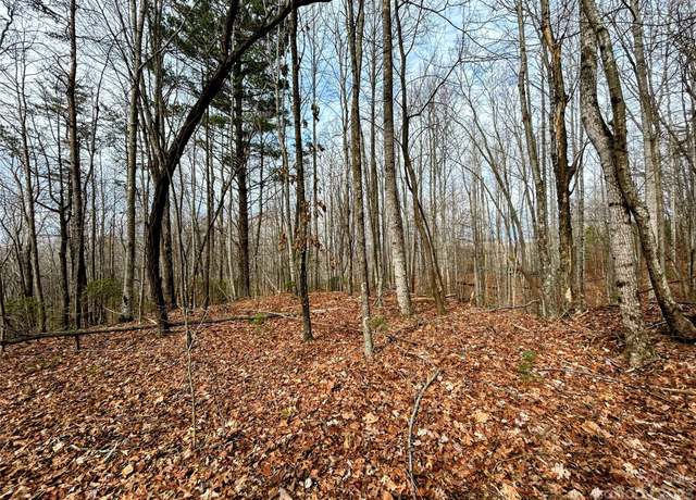 Property at Lot 14 Rhododendron Dr, Saluda, NC 28773