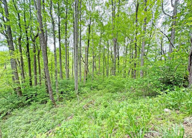Property at TBD Caldwell Mountain Rd, Hot Springs, NC 28743