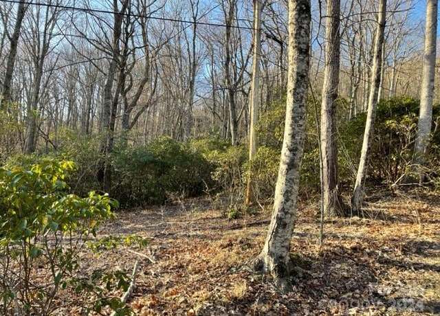 Property at 0 E Poplar Ln #25, Hendersonville, NC 28792