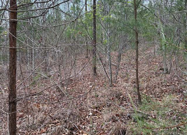 Property at 0 Rose Hollow Dr, Mill Spring, NC 28756