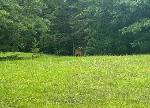 Property at 28 Fallen Tree Ln, Mill Spring, NC 28756