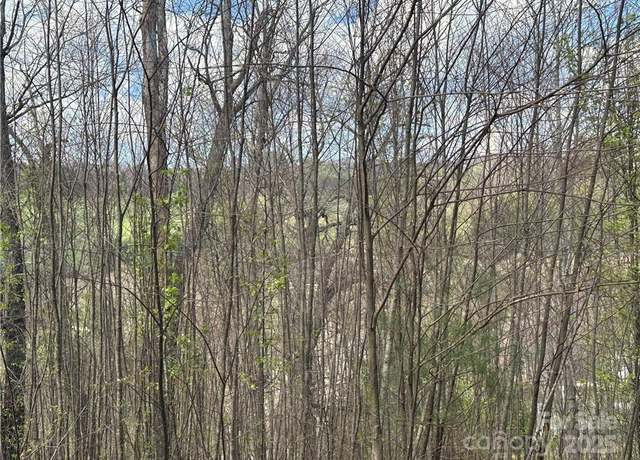 Property at TBD E Landing Rdg #24, Jefferson, NC 28640