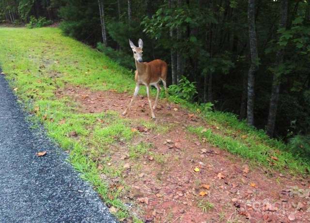 Property at lots 11/12 South Pointe Rd, Mill Spring, NC 28756
