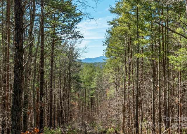 Property at 1683 Pisgah Preserve Dr, Nebo, NC 28761