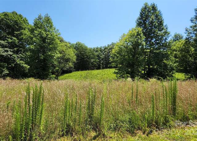 Property at 0 Shady Bark Ln #46, Rutherfordton, NC 28139