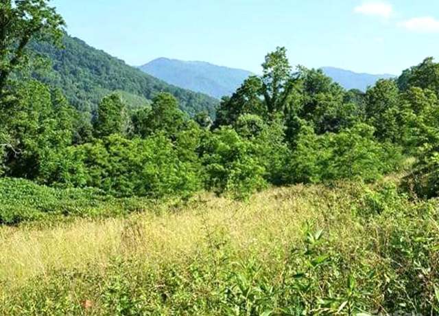 Property at 00 Split Pine Cv, Clyde, NC 28721
