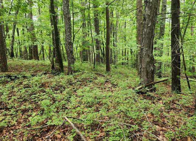 Property at 0 Buttonwood Rd #21, Connelly Springs, NC 28612