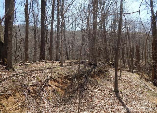 Property at 00 Gentry Farm Rd, Spring Creek, NC 28743