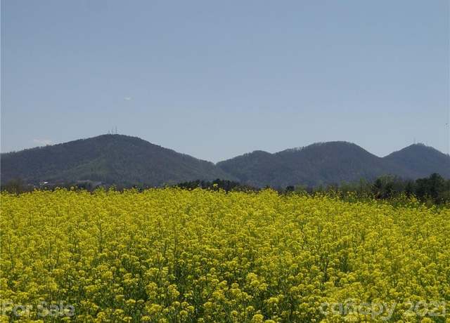 Property at 1293 Bear Creek Rd, Leicester, NC 28748