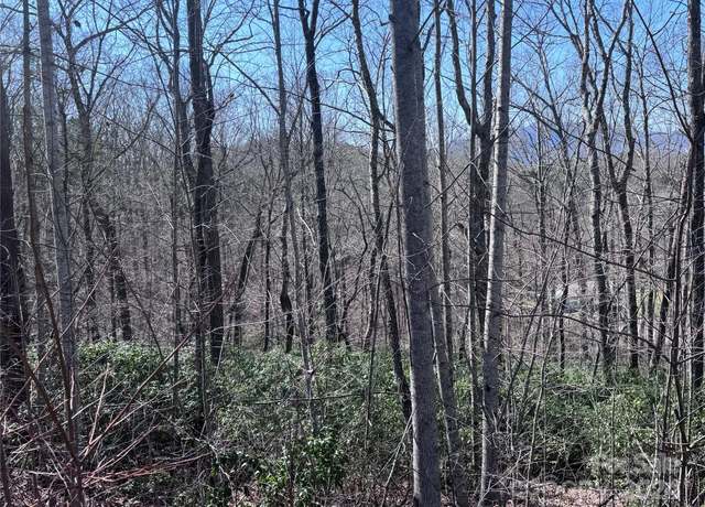 Property at 0 High Pines Loop #108, Lake Lure, NC 28746