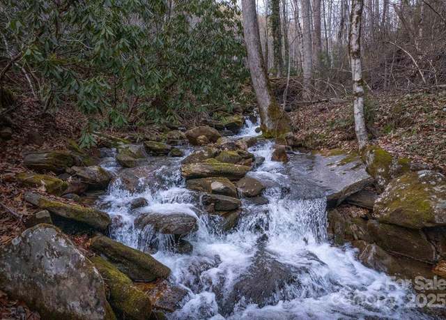 Property at 10 Herron Branch Rd, Whittier, NC 28789