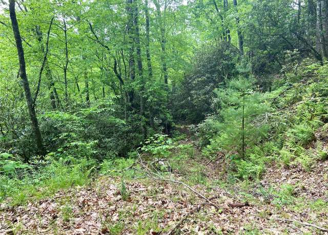 Property at Lot 10 Mystic Forest Way #10, Bryson City, NC 28713