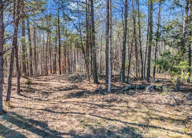 Property at 00 Petite Ct, Rutherfordton, NC 28139