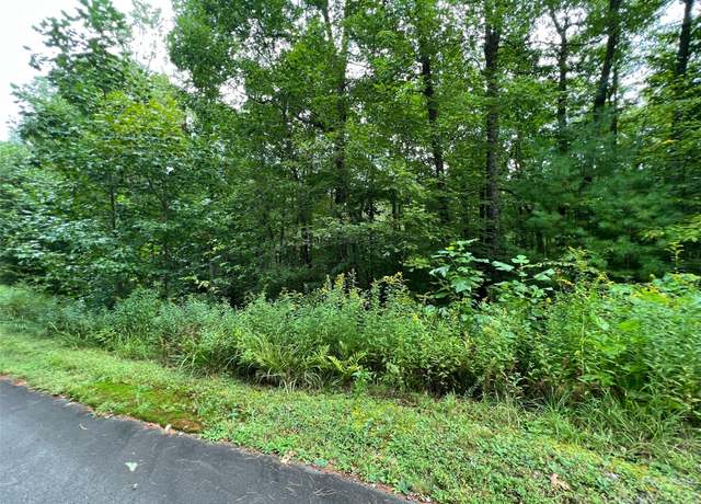 Property at 103 Laurel Thicket Ln, Brevard, NC 28712