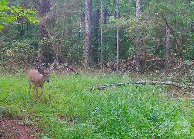 Property at 5555 Groves Rd, Union Mills, NC 28167